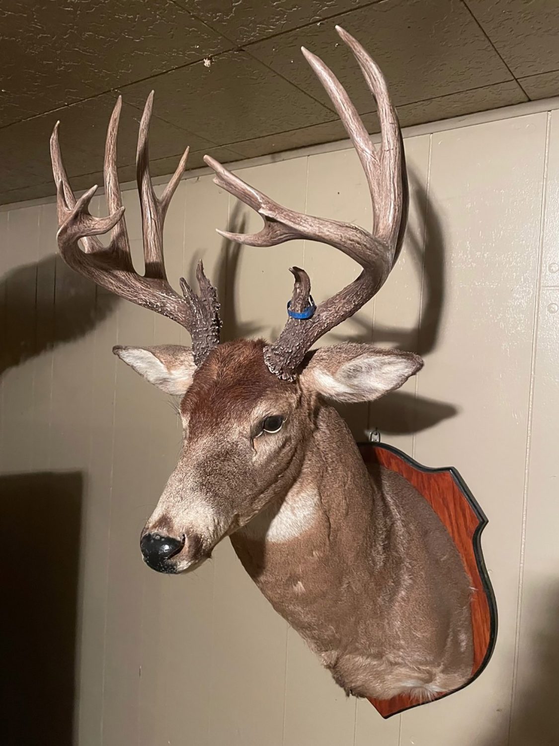 11_white_county_indiana