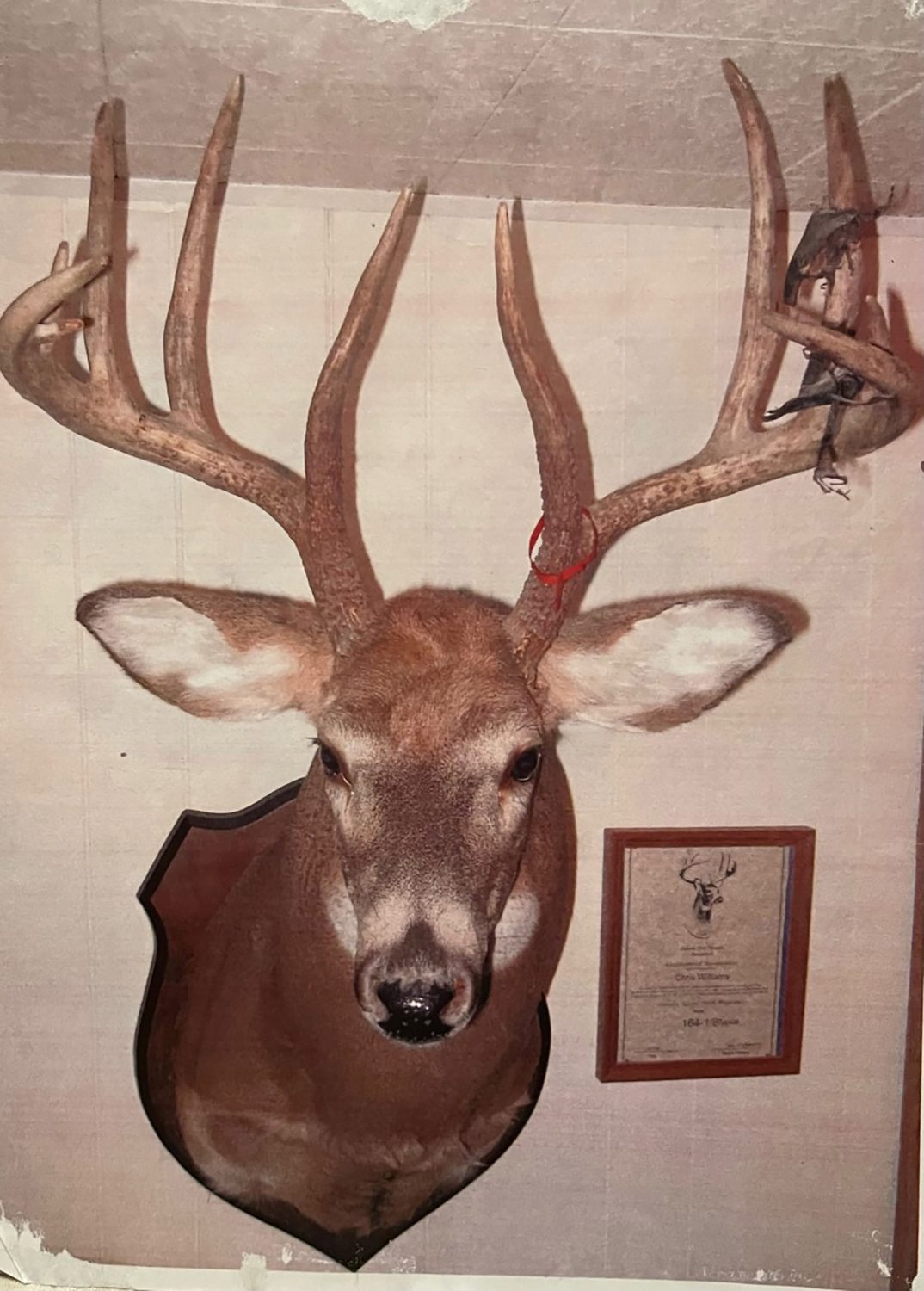 14_white_county_indiana