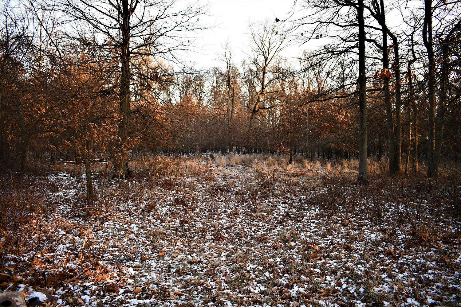 22_white_county_indiana