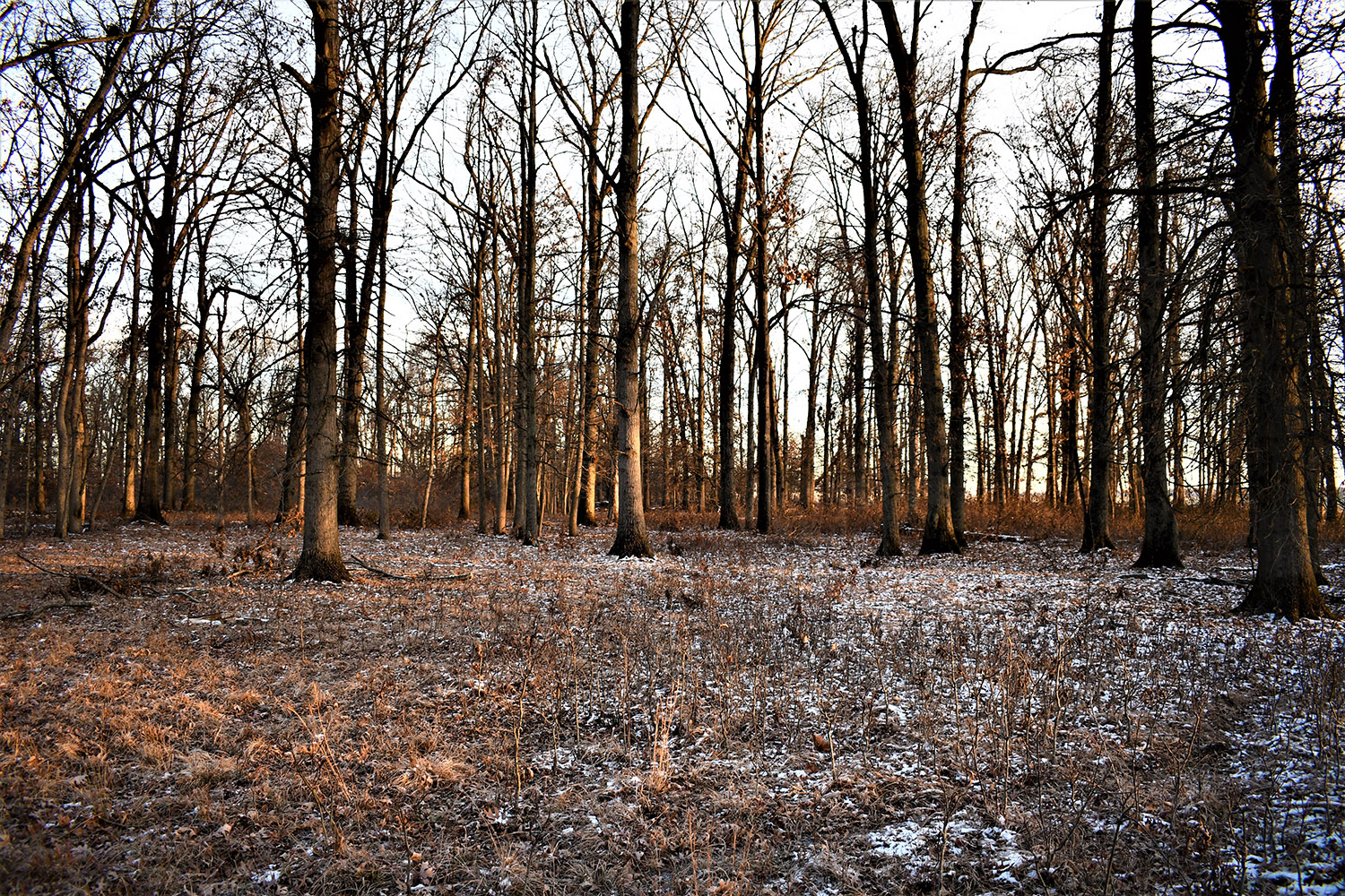 23_white_county_indiana