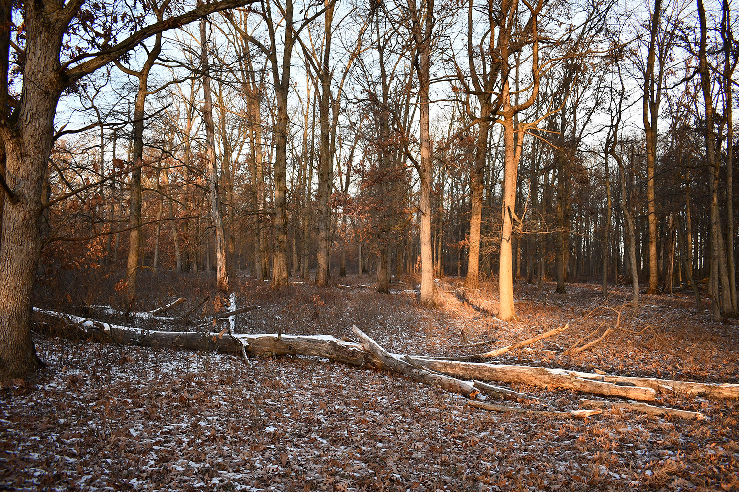 24_white_county_indiana