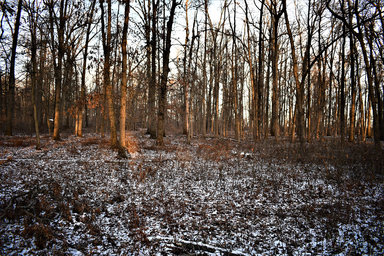 25_white_county_indiana