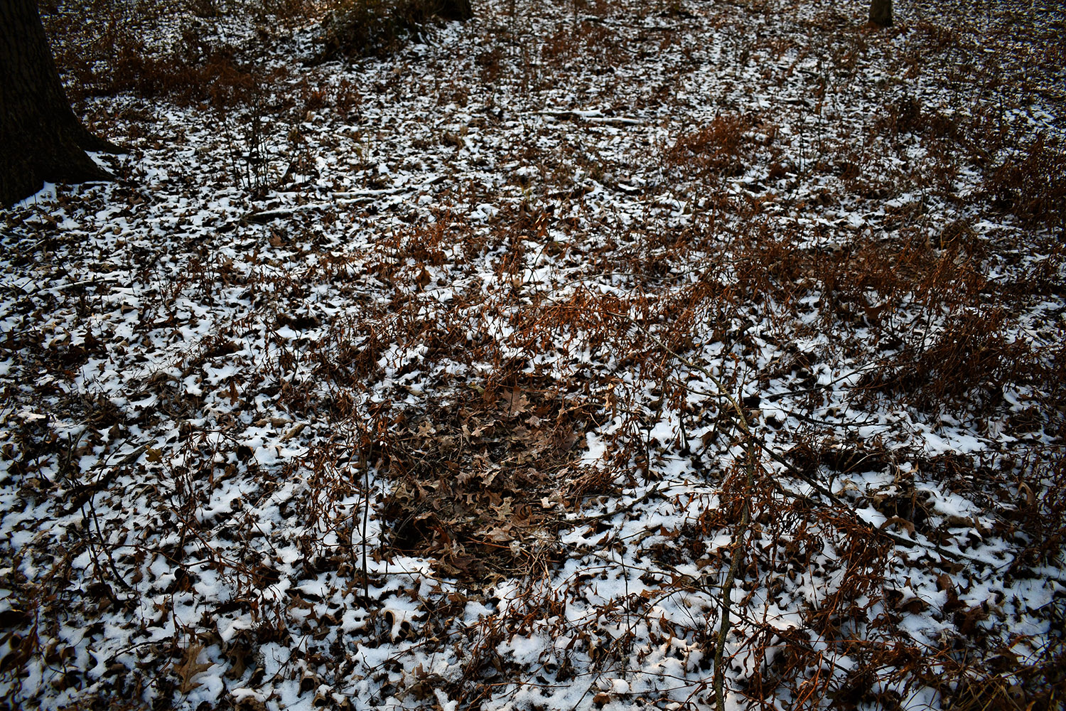 26_white_county_indiana