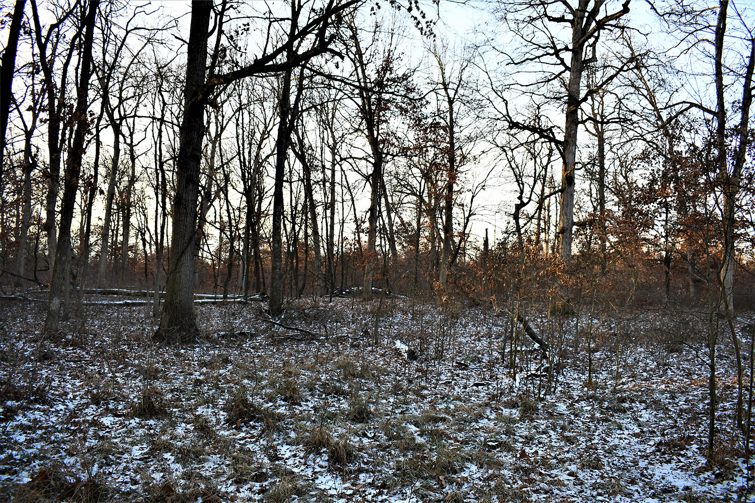 30_white_county_indiana