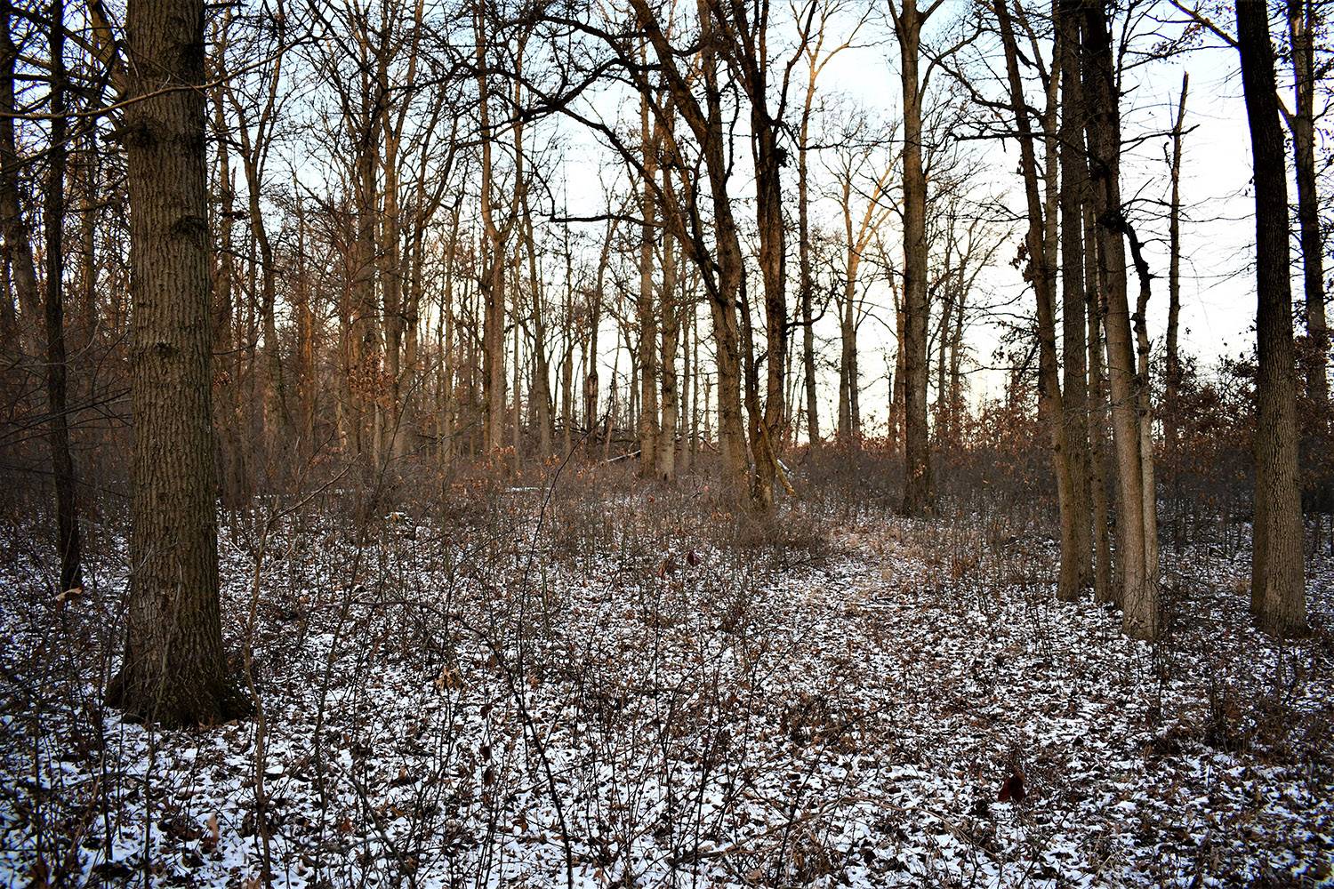 38_white_county_indiana