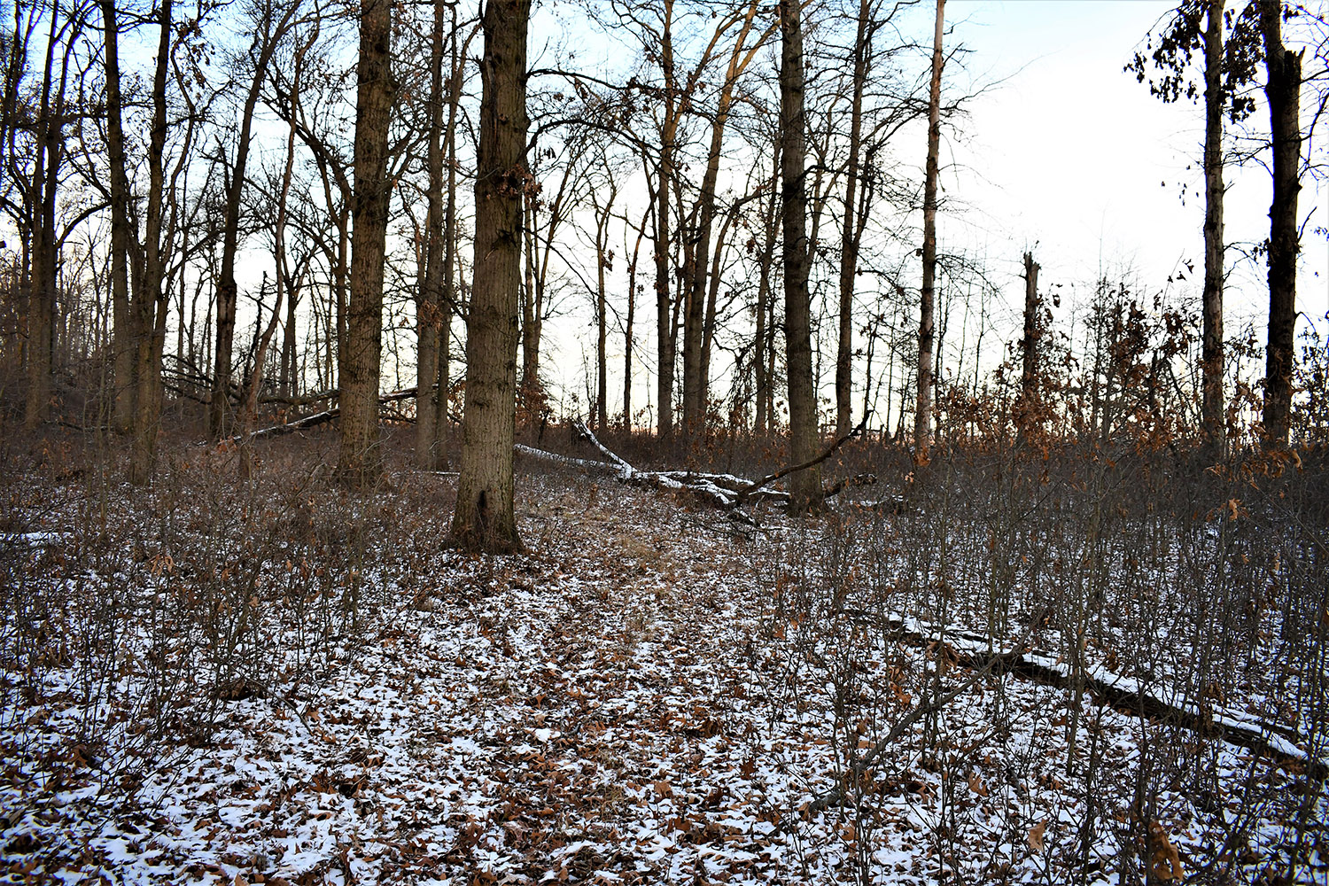 39_white_county_indiana