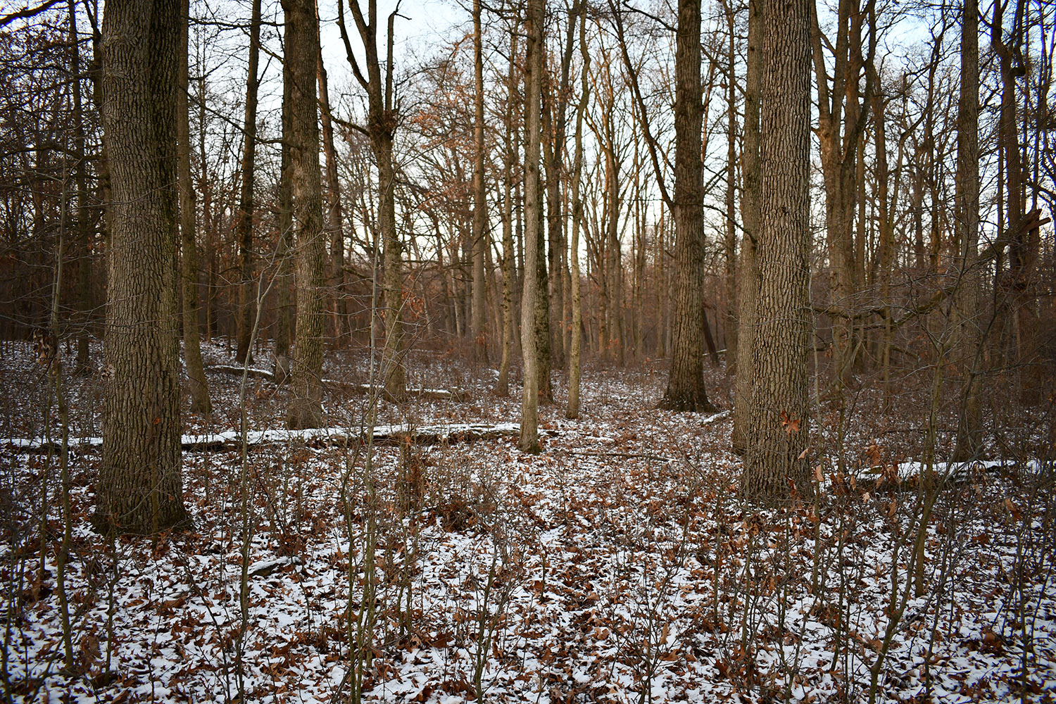 40_white_county_indiana