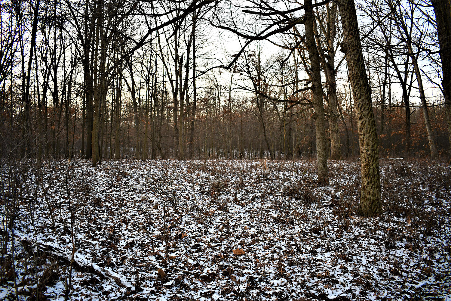 41_white_county_indiana