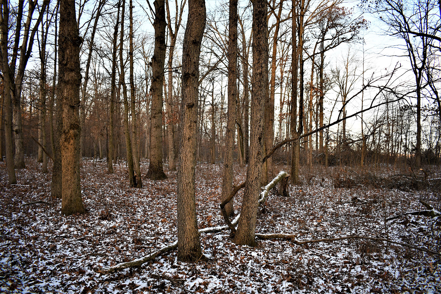 42_white_county_indiana