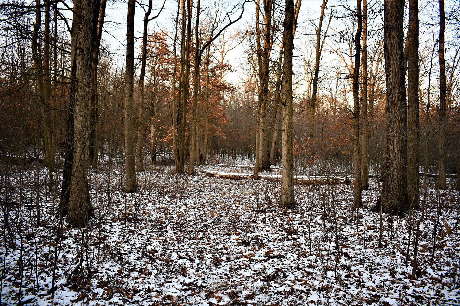 43_white_county_indiana