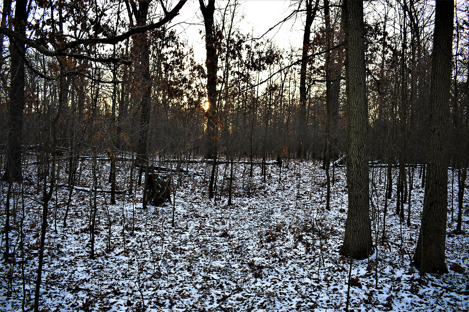 45_white_county_indiana