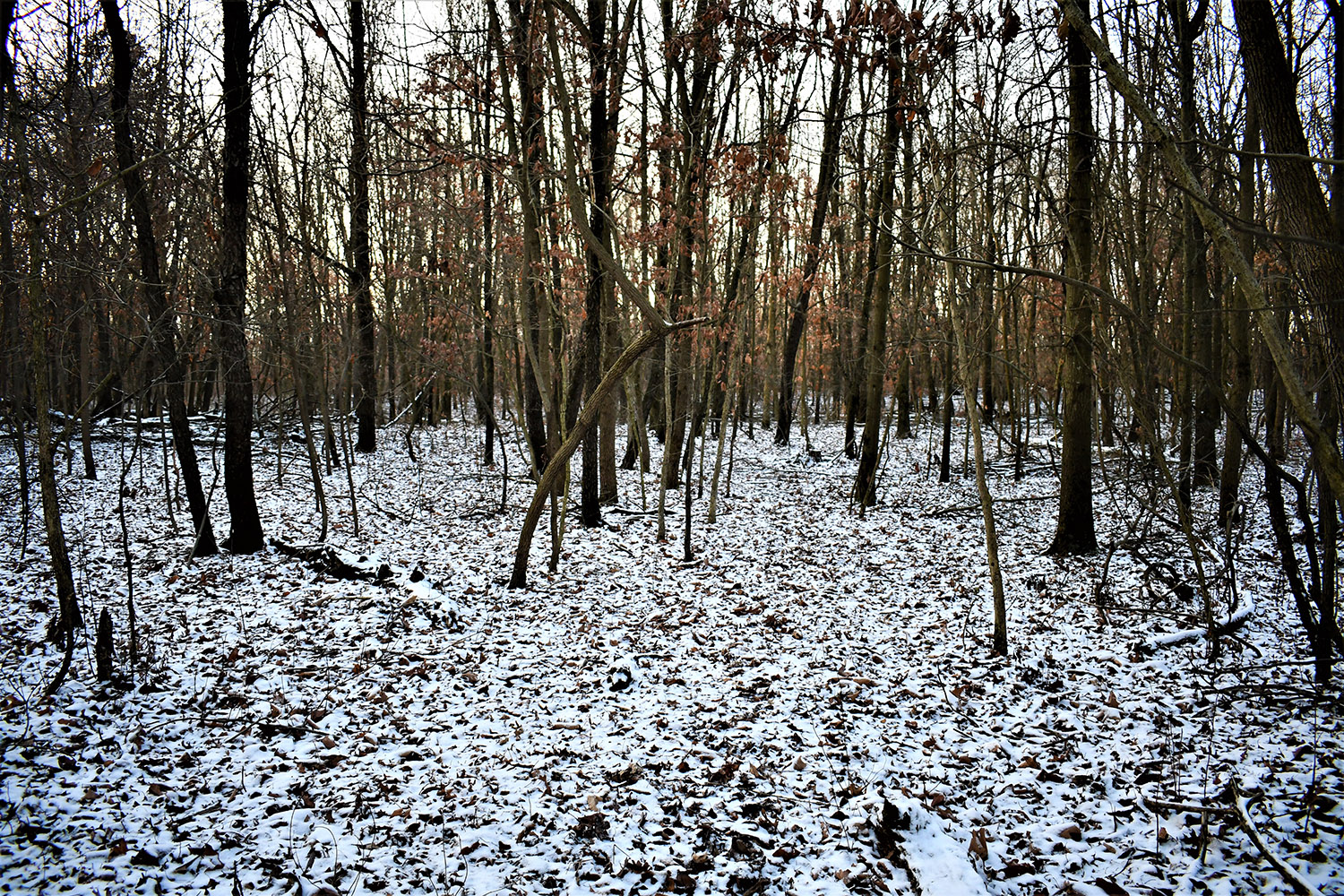 46_white_county_indiana