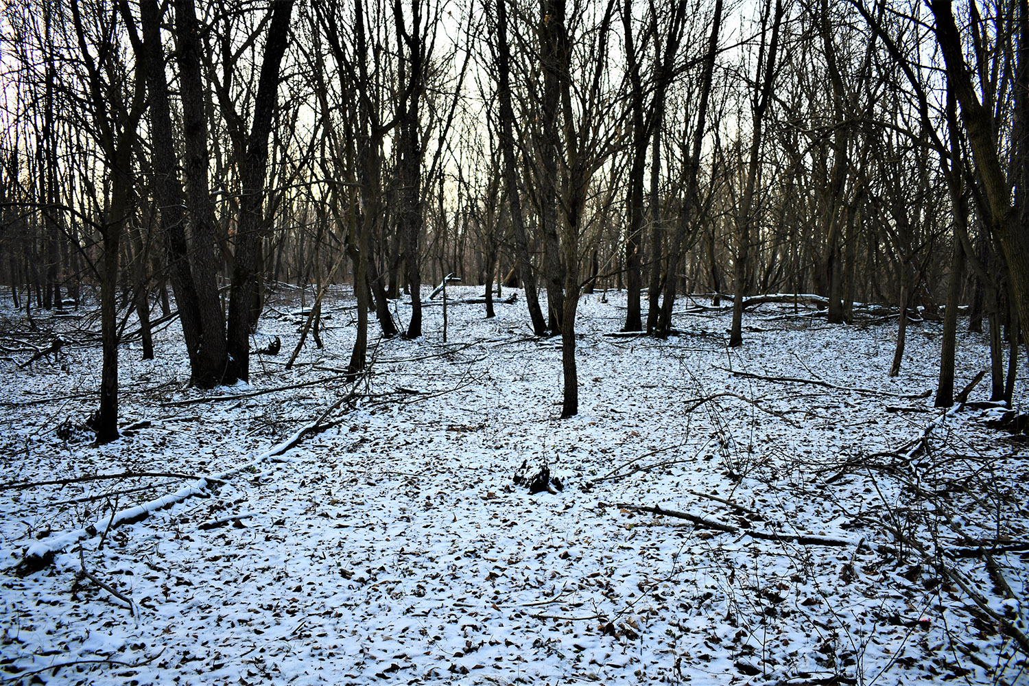 47_white_county_indiana