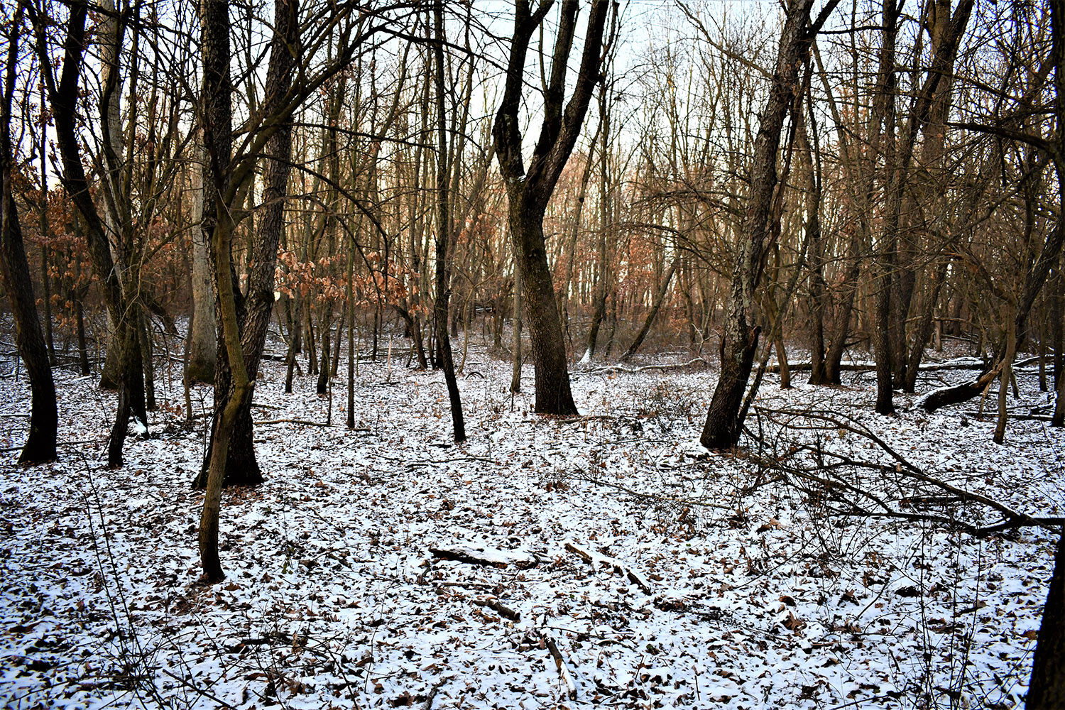 48_white_county_indiana