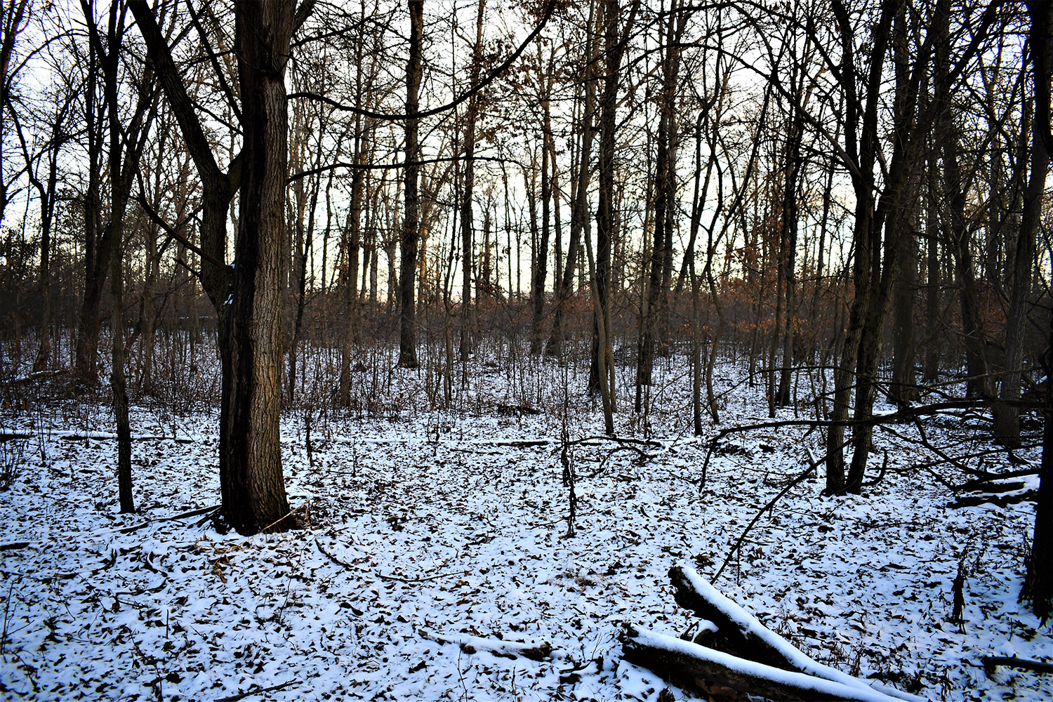 49_white_county_indiana