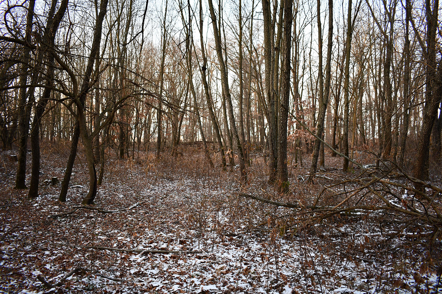 50_white_county_indiana