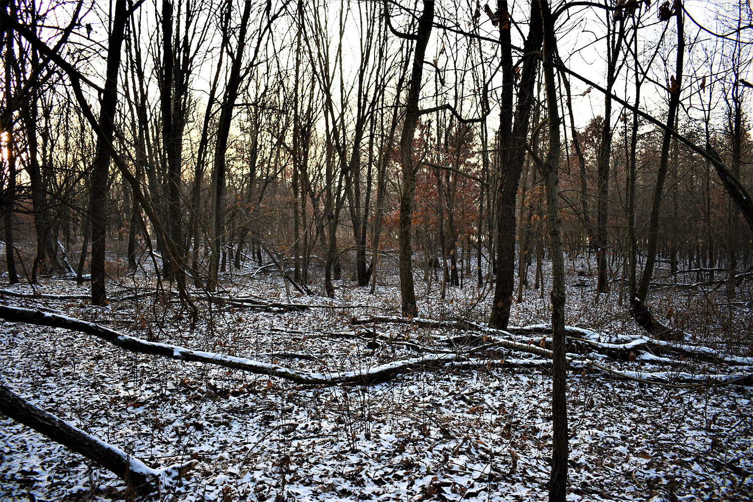 51_white_county_indiana