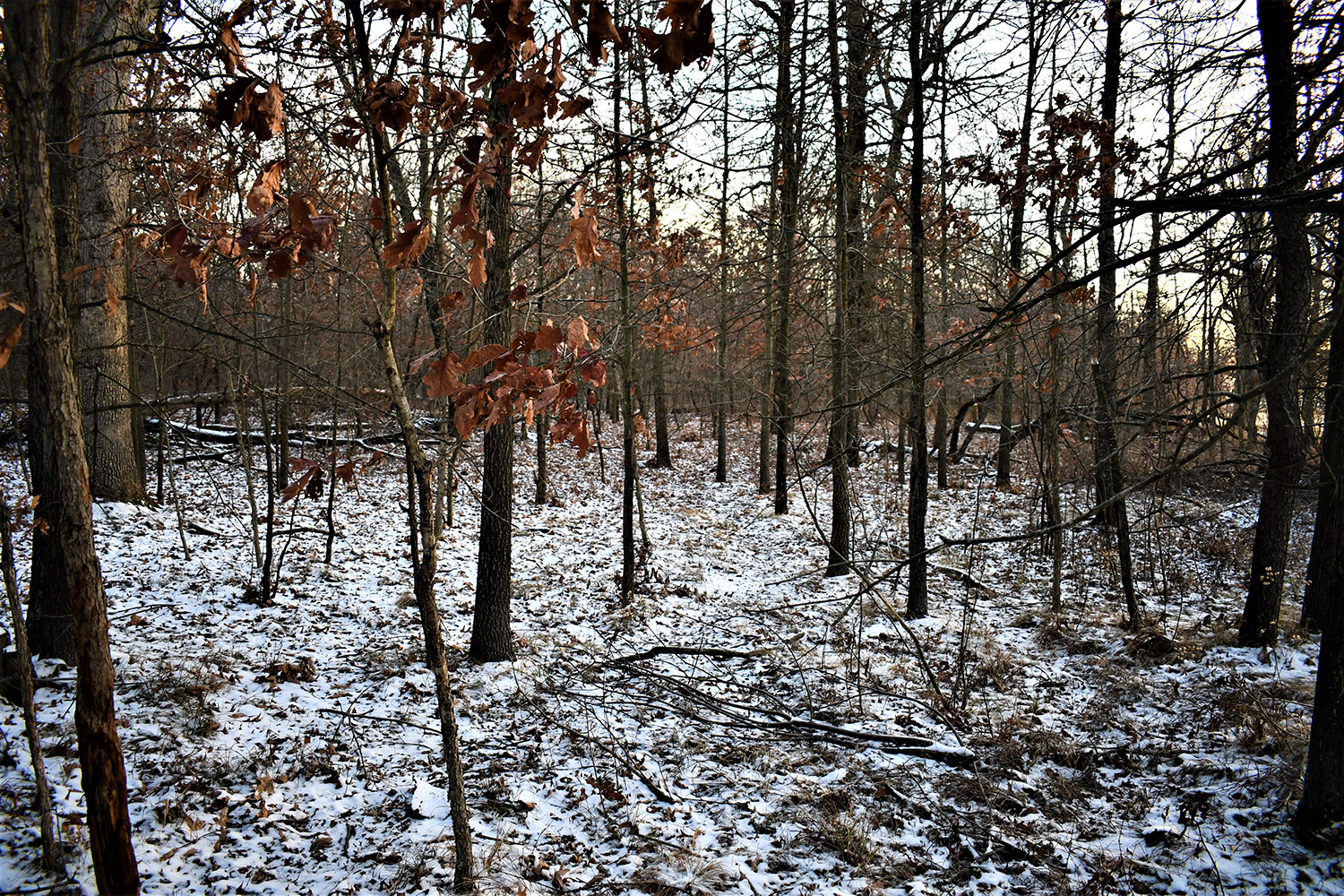 53_white_county_indiana