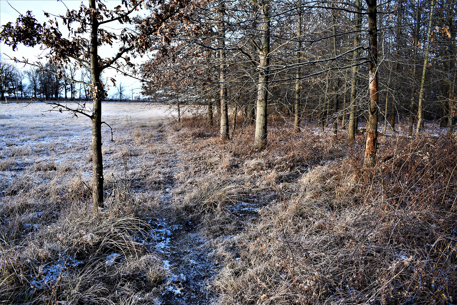 54_white_county_indiana