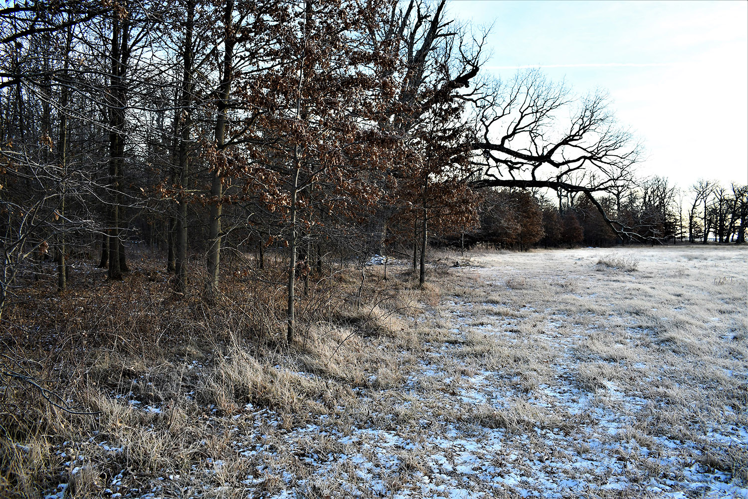 55_white_county_indiana