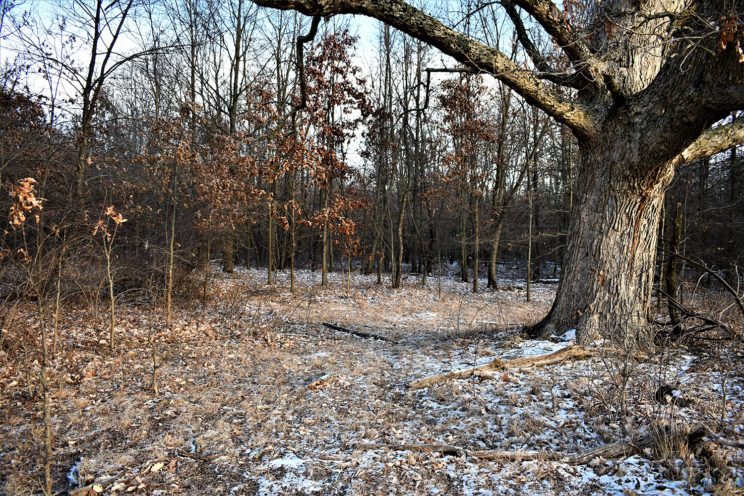 56_white_county_indiana