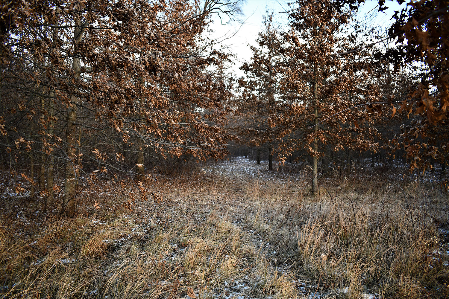 57_white_county_indiana