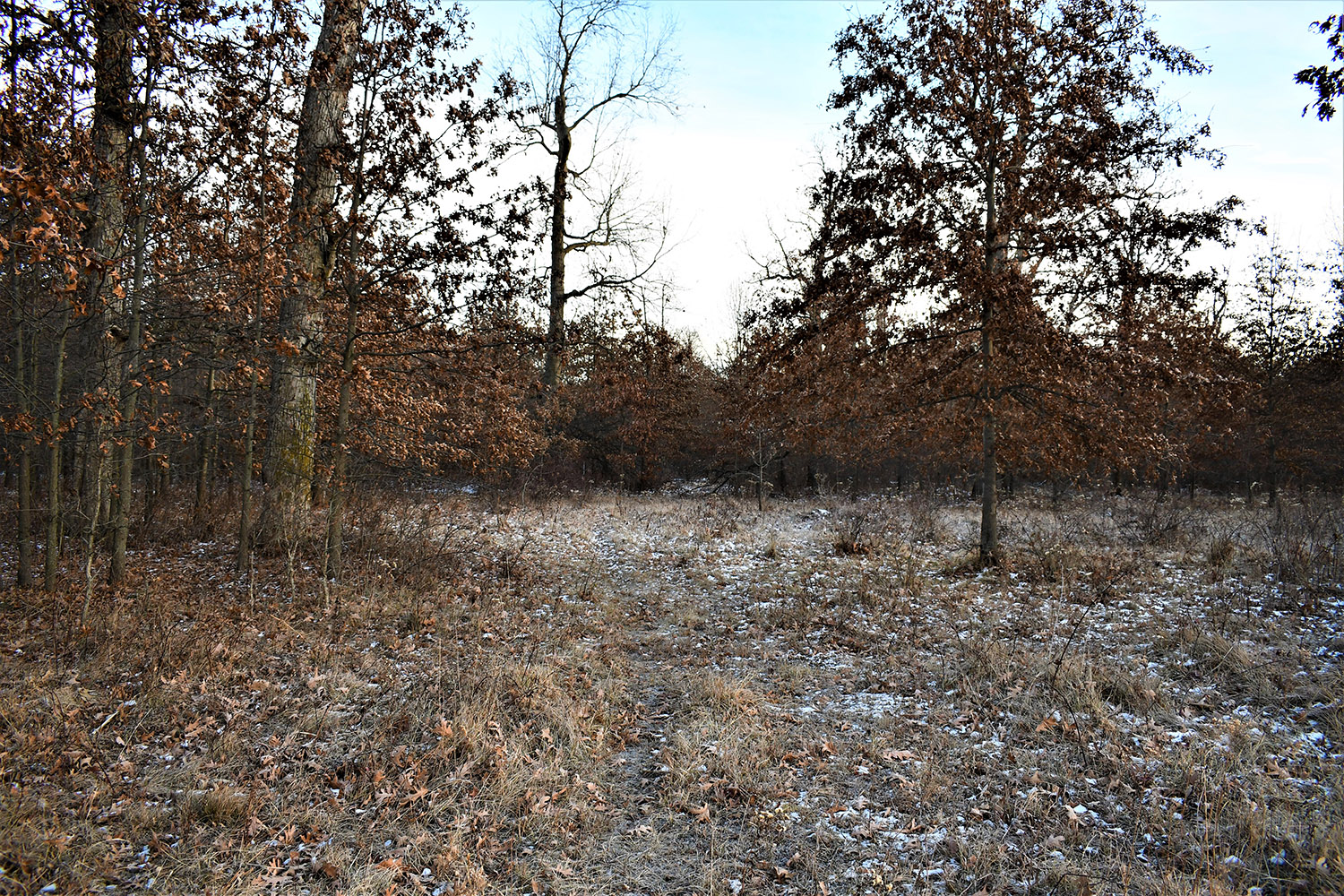 58_white_county_indiana