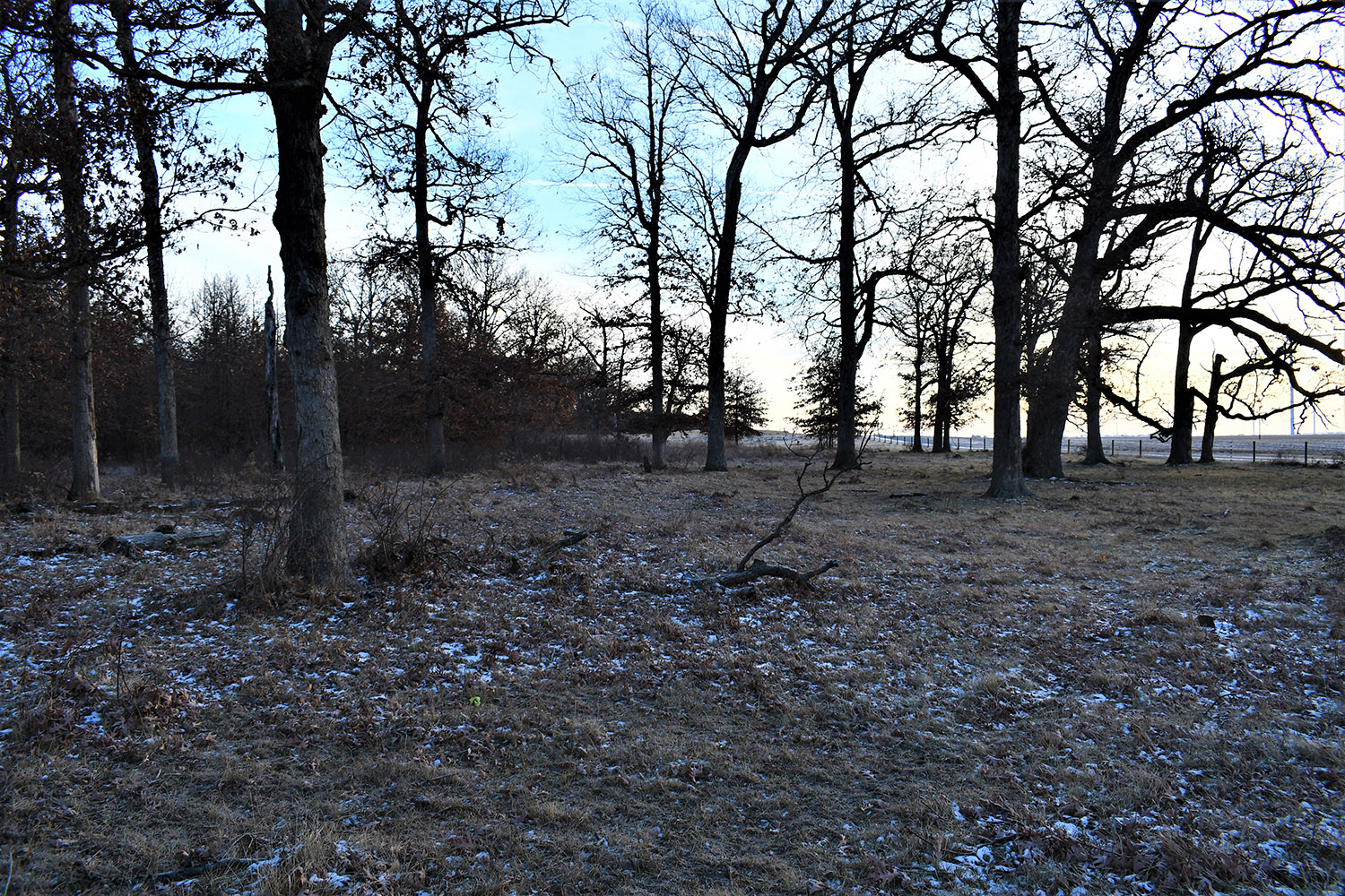 WHITE COUNTY, INDIANA 80 +/ ACRE PROPERTY FOR SALE Farm Real Estate for Sale, Wooded Property