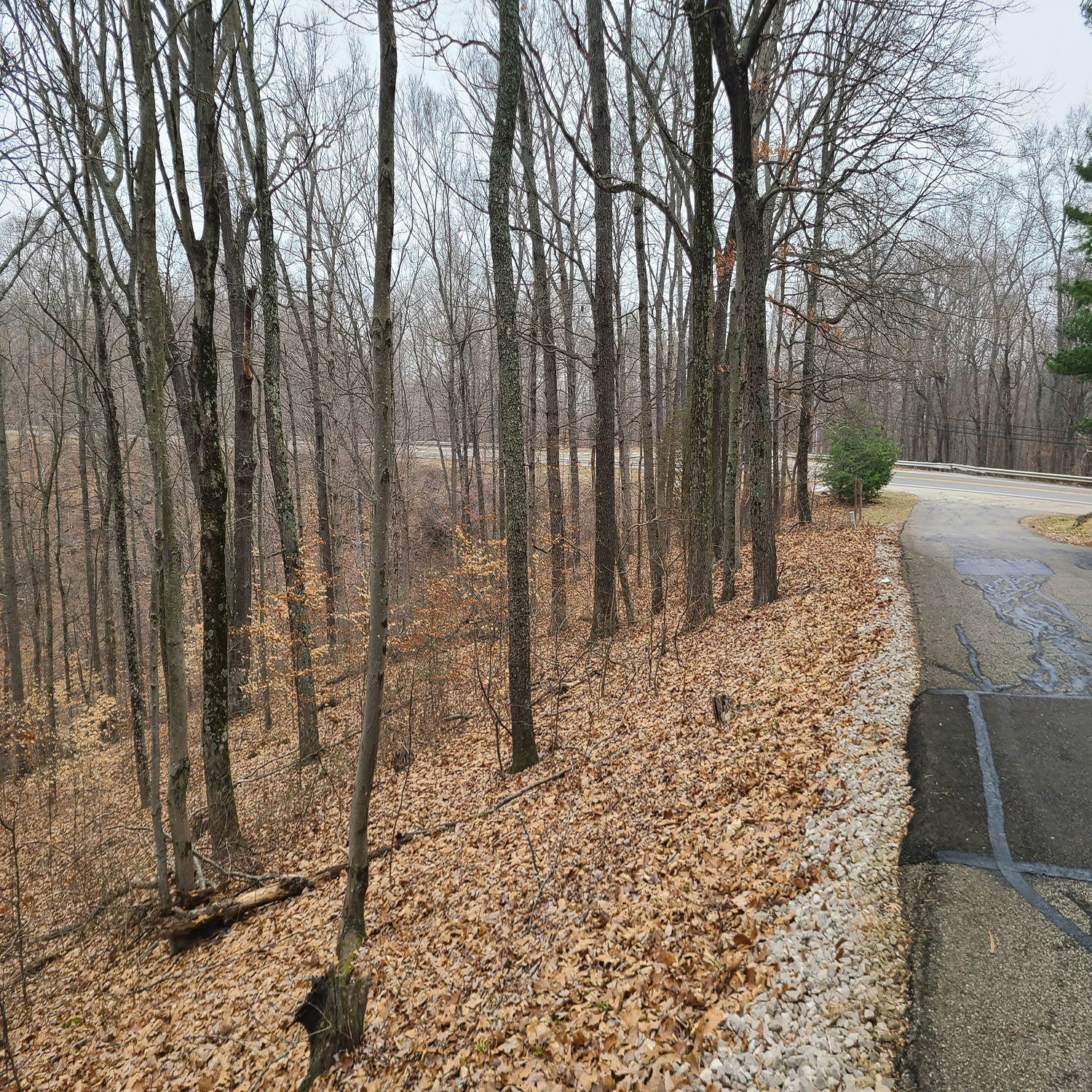 20230111_131758jpg_Wooded_Building_Site