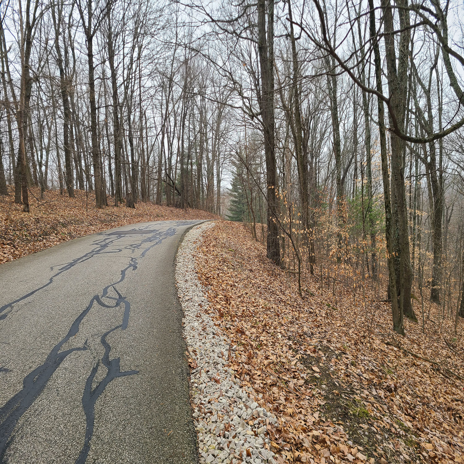 20230111_131802jpg_Wooded_Building_Site