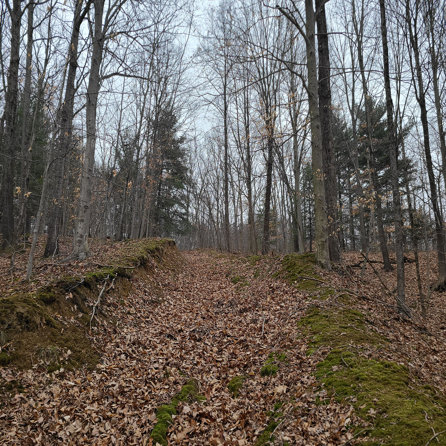 4_Property_Sale_Martinsvillejpg_Wooded_Building_Site