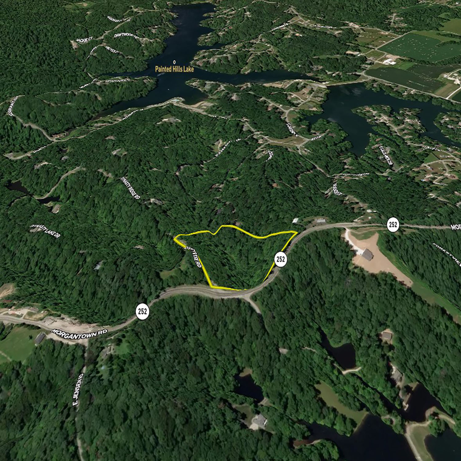 Z Morgan 14 3Djpg_Wooded_Building_Site