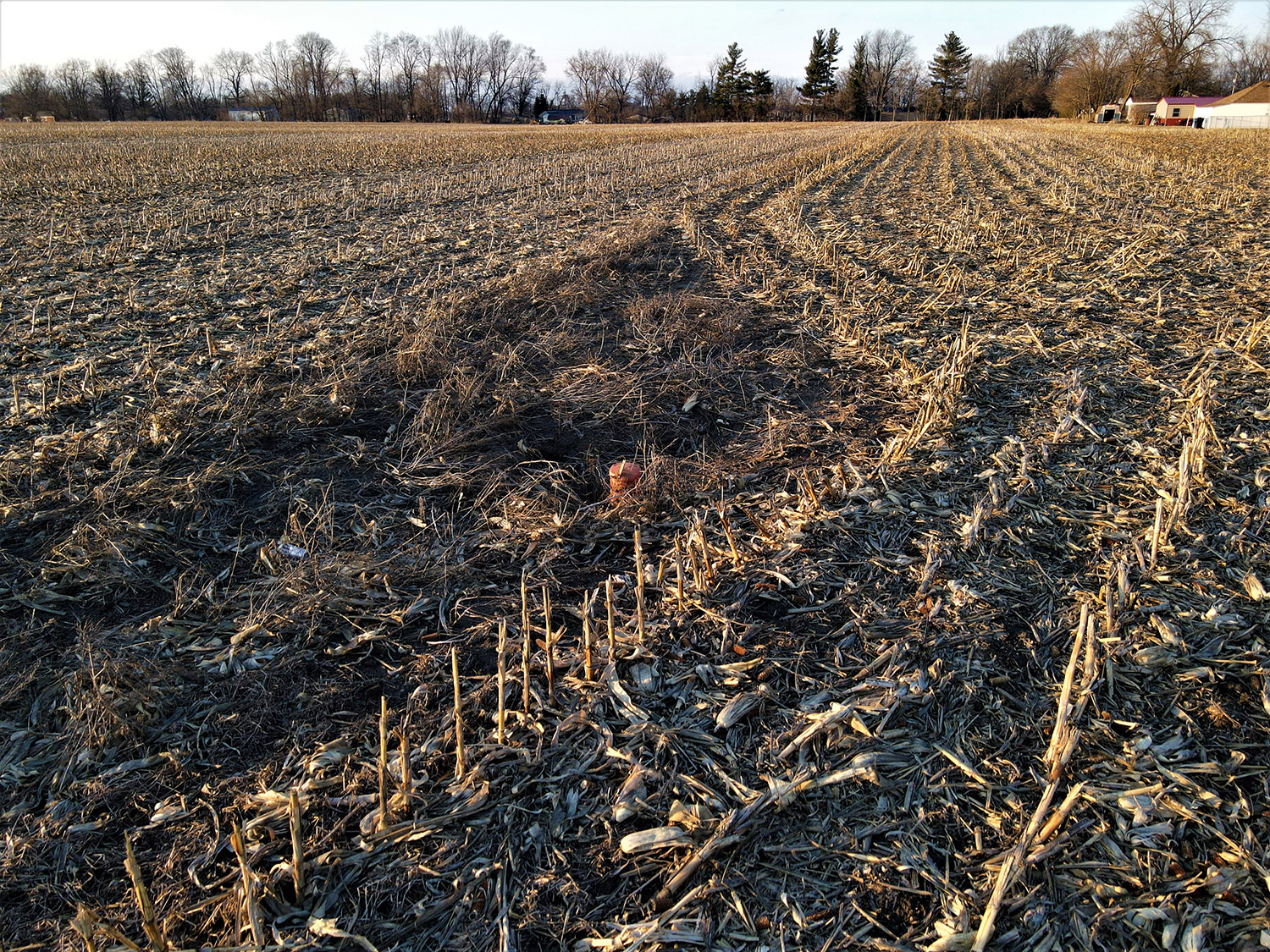 31.69+ Acres of Farmland in White County, IN Farm Real Estate for Sale, Wooded Property