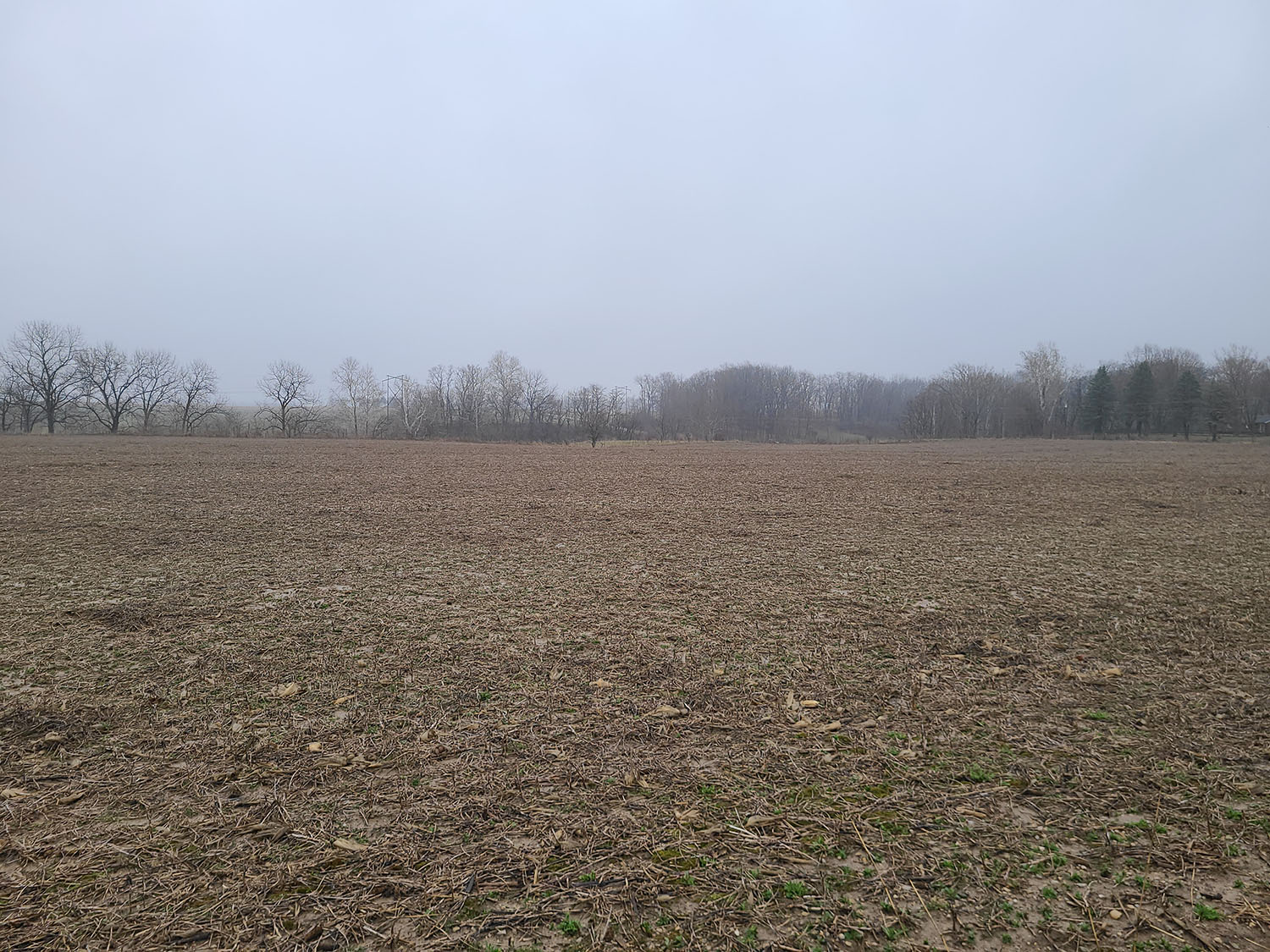 Beautiful Cattle Farm Fayette County 80+ Acres Farm Real Estate