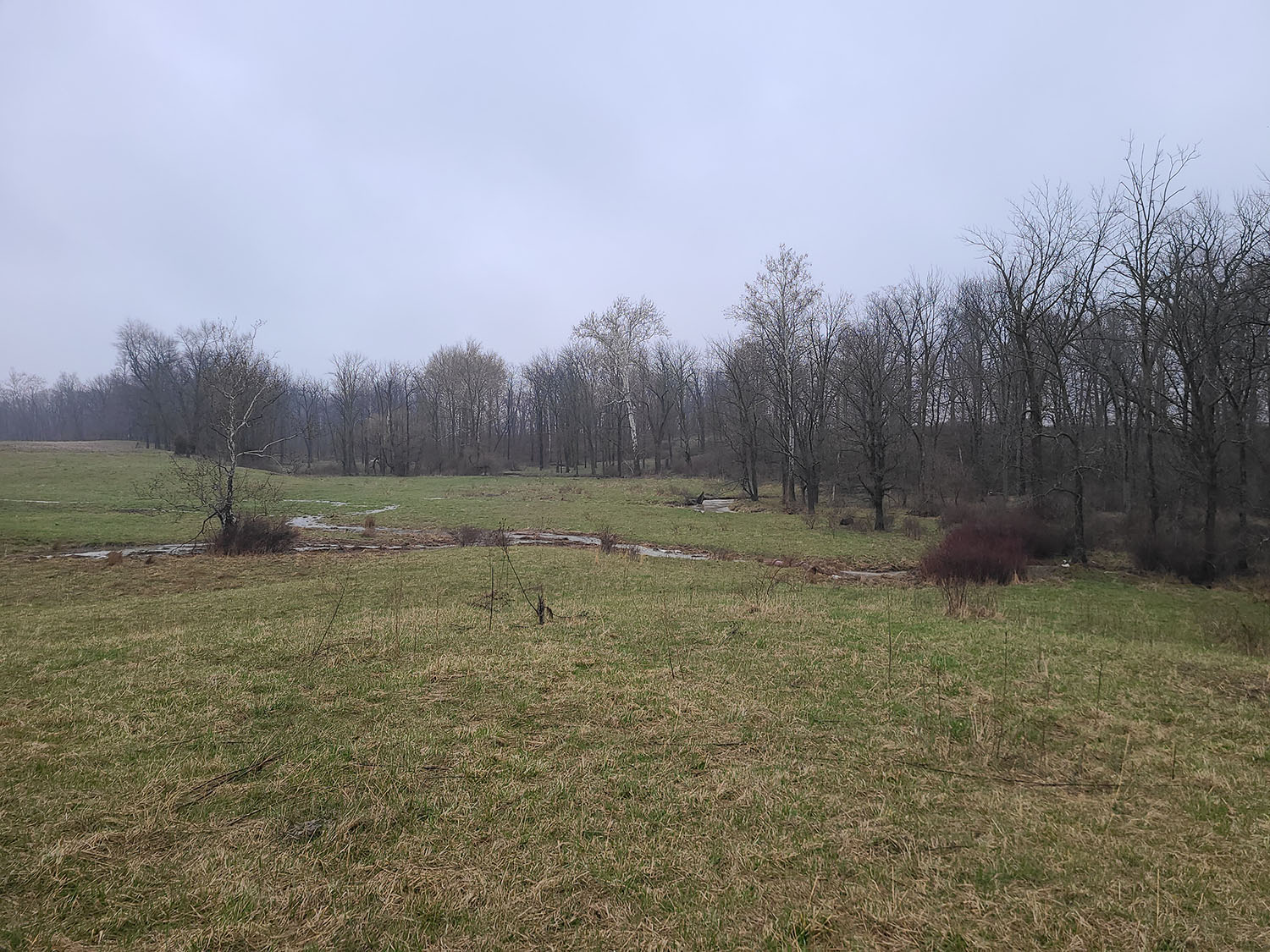 Beautiful Cattle Farm Fayette County 80+ Acres Farm Real Estate