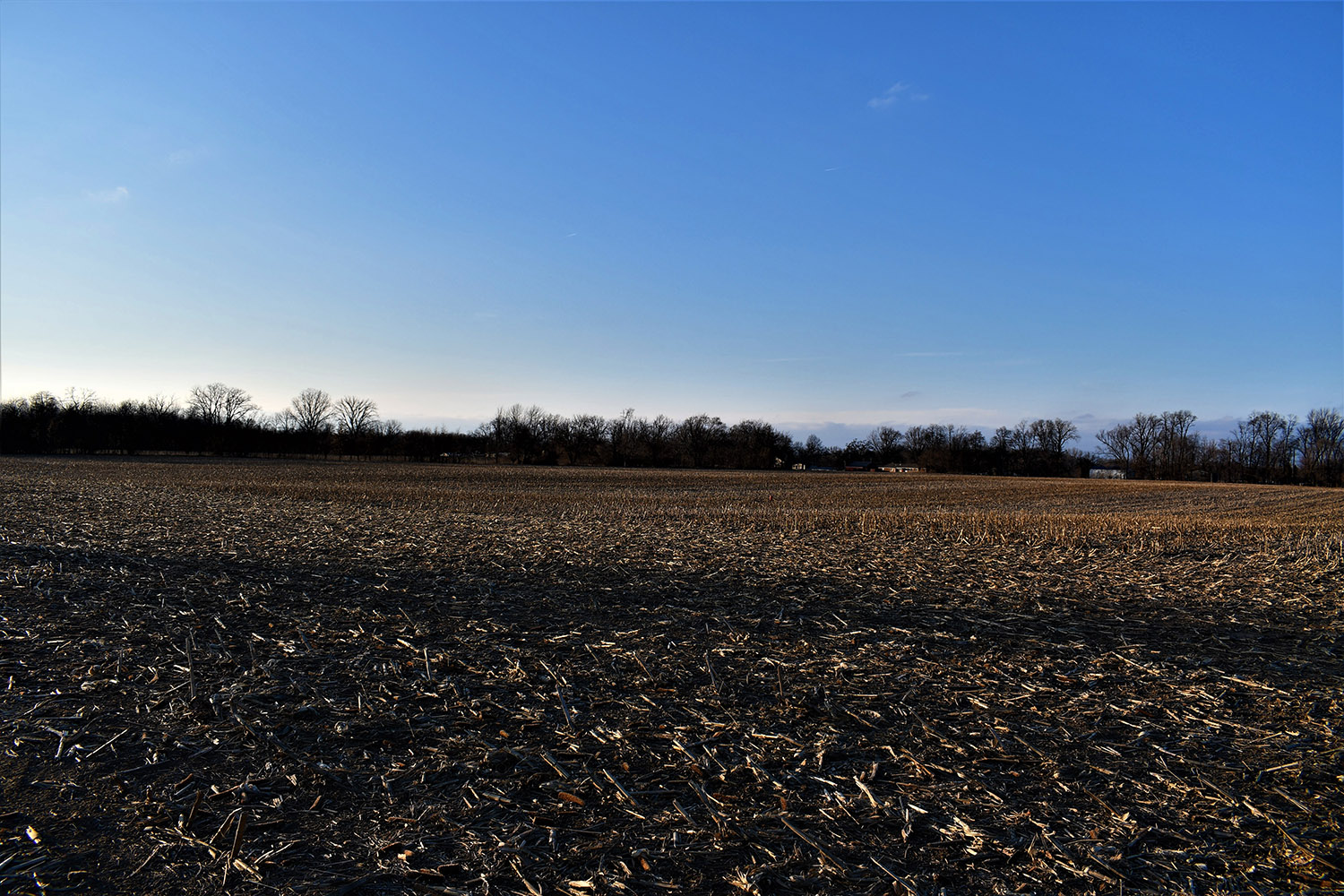 31.69+ Acres of Farmland in White County, IN Farm Real Estate for Sale, Wooded Property