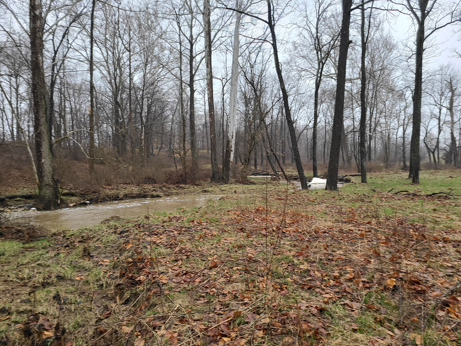 Beautiful Cattle Farm Fayette County 80+ Acres Farm Real Estate