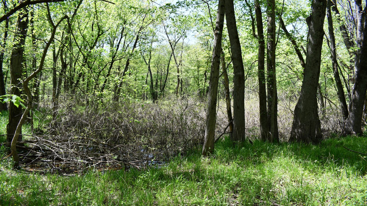 10 +/ Acres Near Tippecanoe River, Pulaski County Farm Real Estate