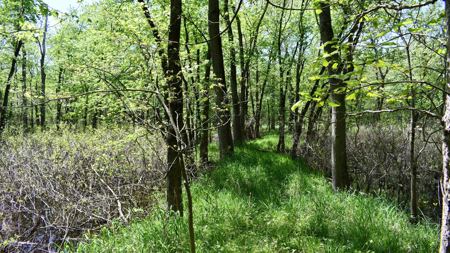 10 +/ Acres Near Tippecanoe River, Pulaski County Farm Real Estate