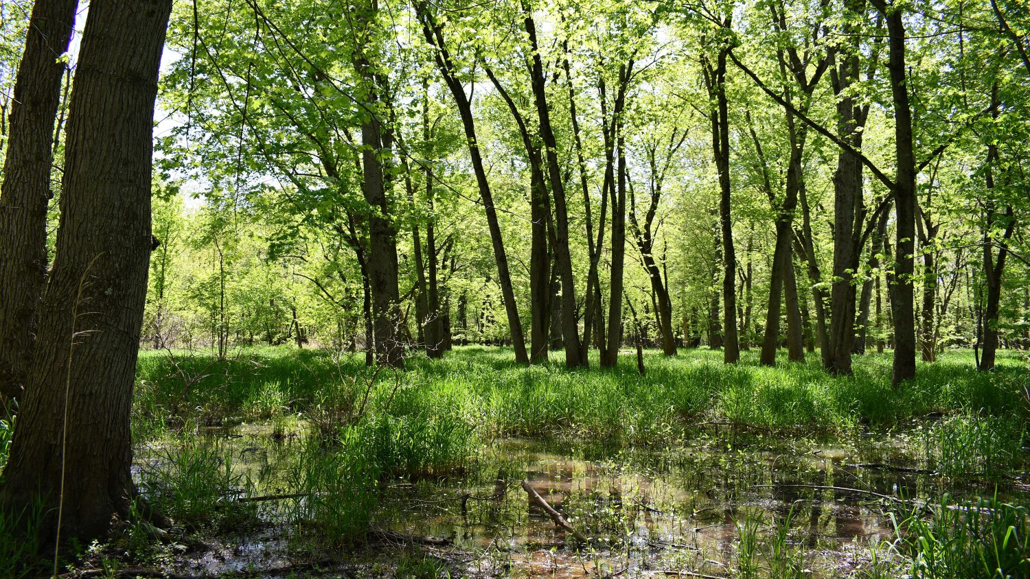 10 +/ Acres Near Tippecanoe River, Pulaski County Farm Real Estate