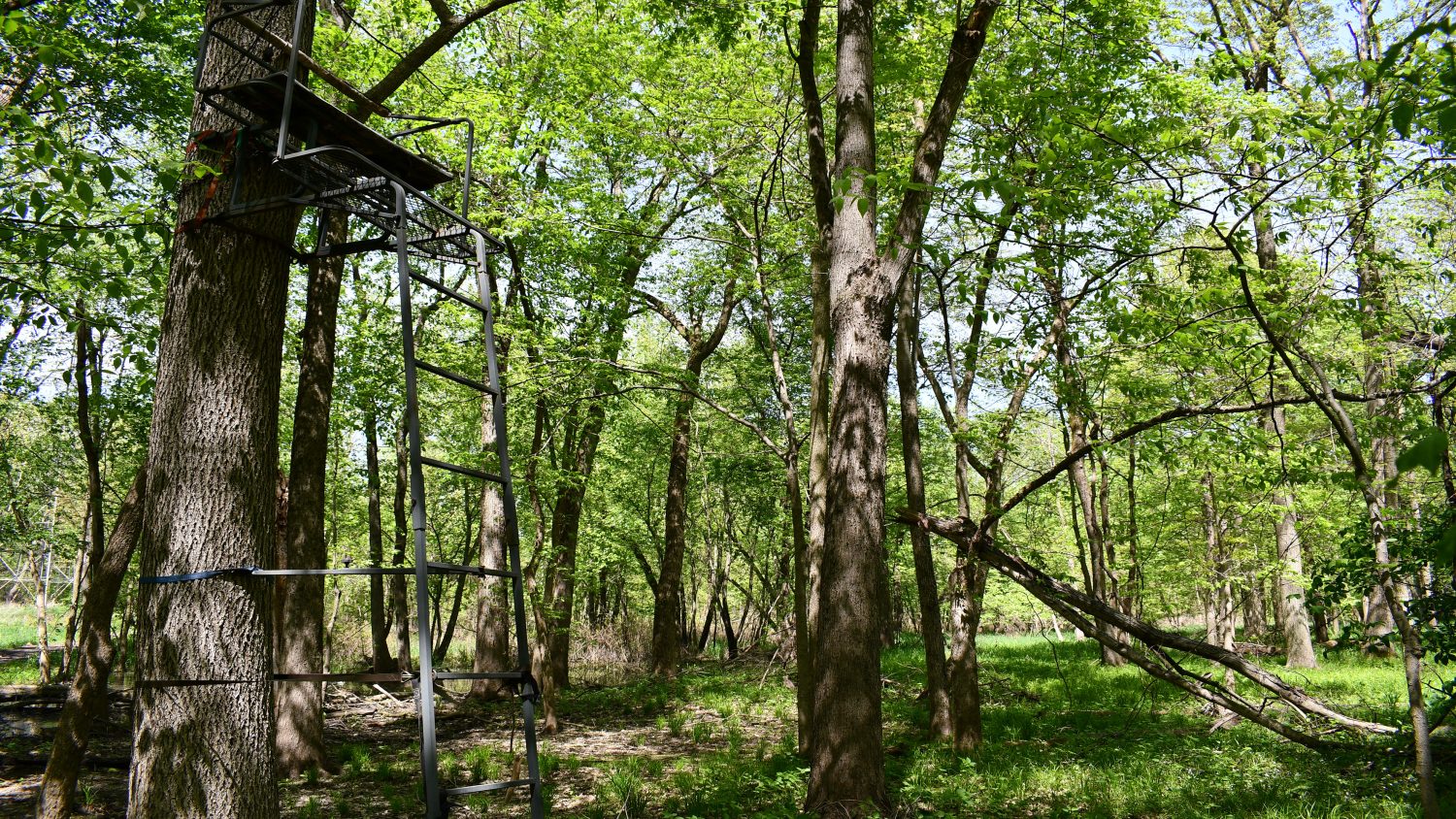 10 +/ Acres Near Tippecanoe River, Pulaski County Farm Real Estate