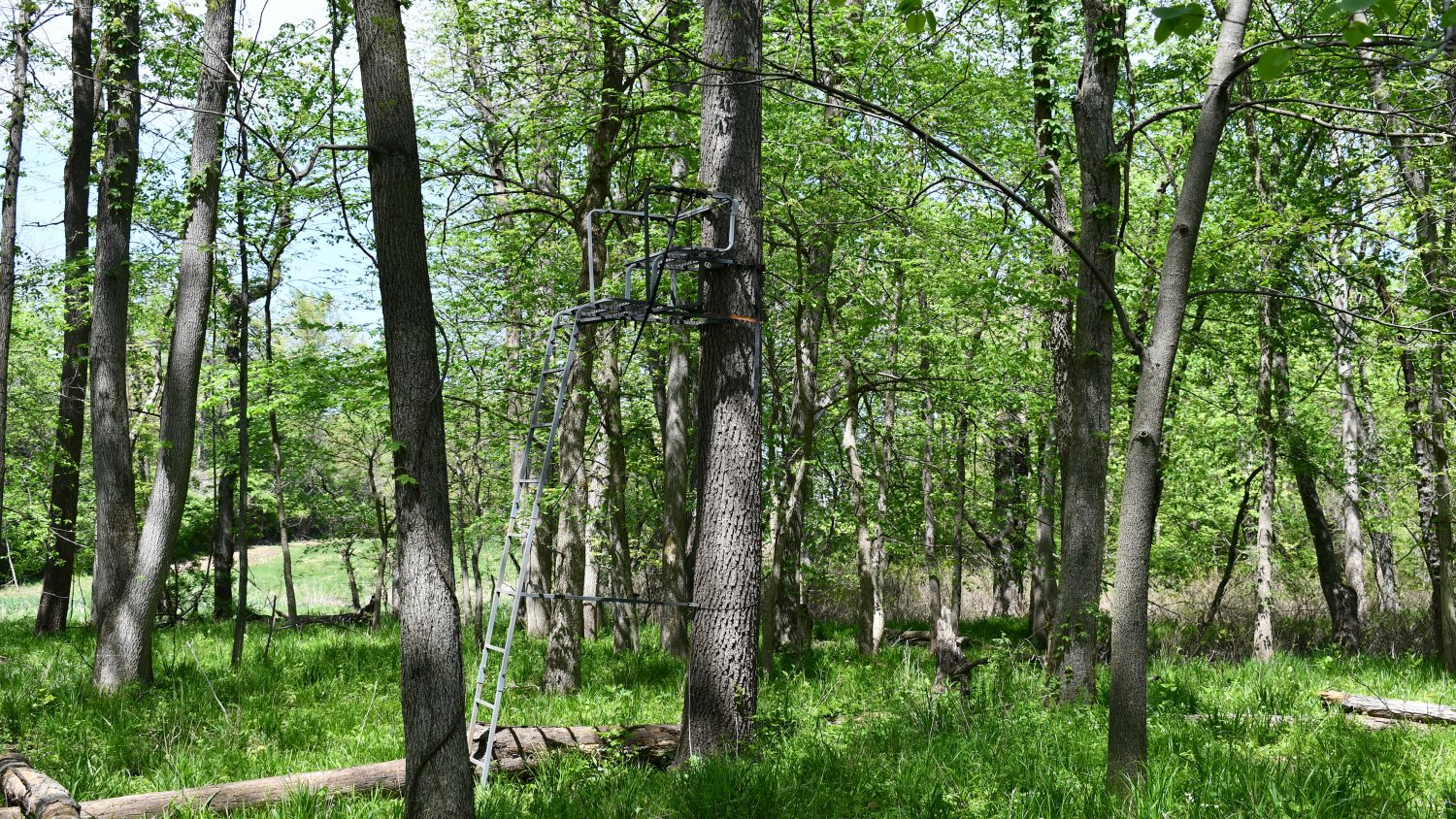 10 +/ Acres Near Tippecanoe River, Pulaski County Farm Real Estate