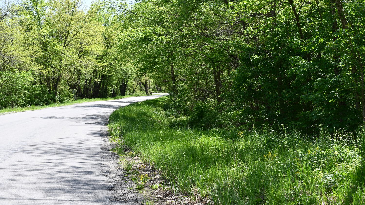 10 +/ Acres Near Tippecanoe River, Pulaski County Farm Real Estate