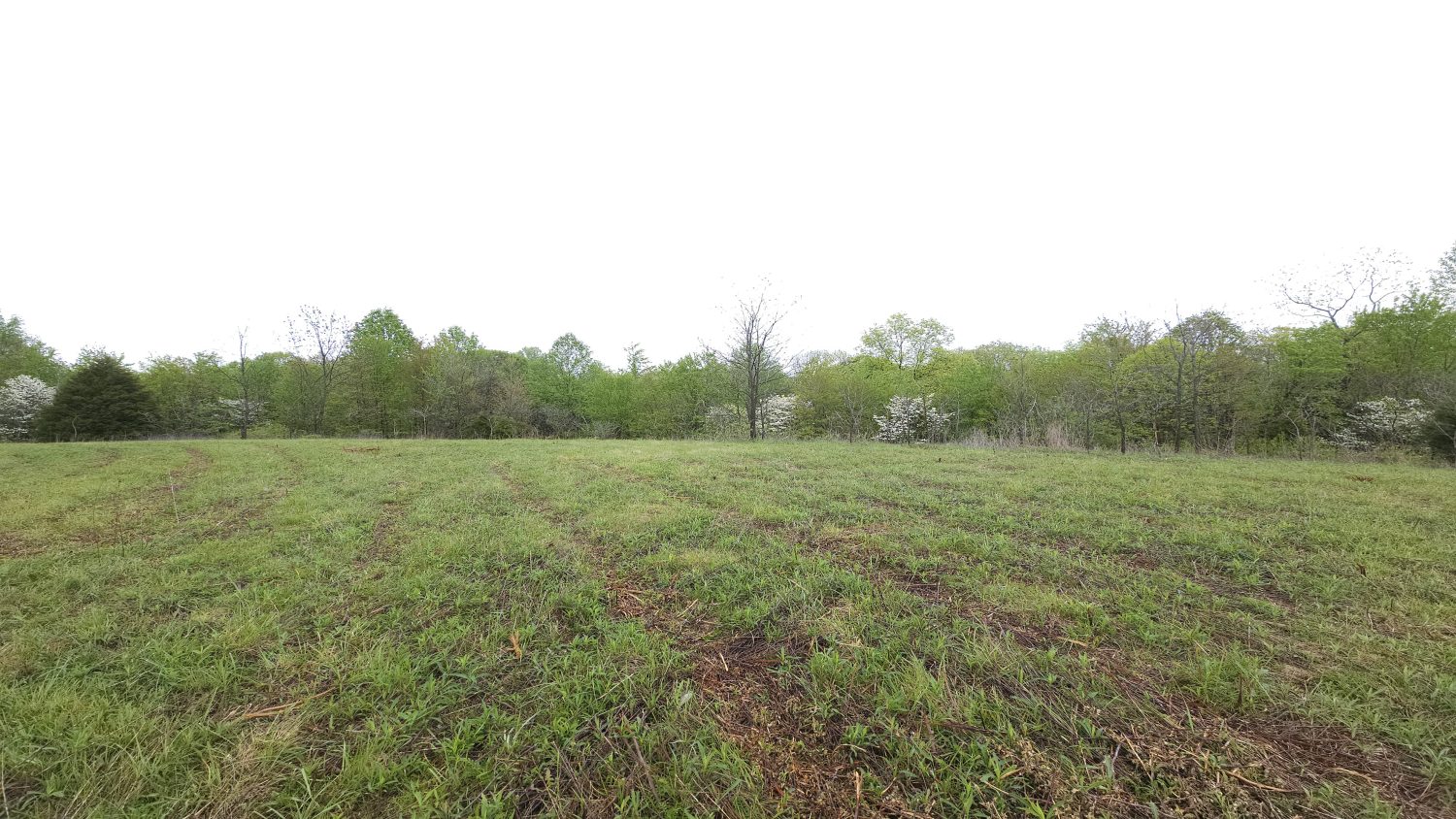 84 +/ Acres Norman, Indiana Diverse Buildable Tract in Jackson County