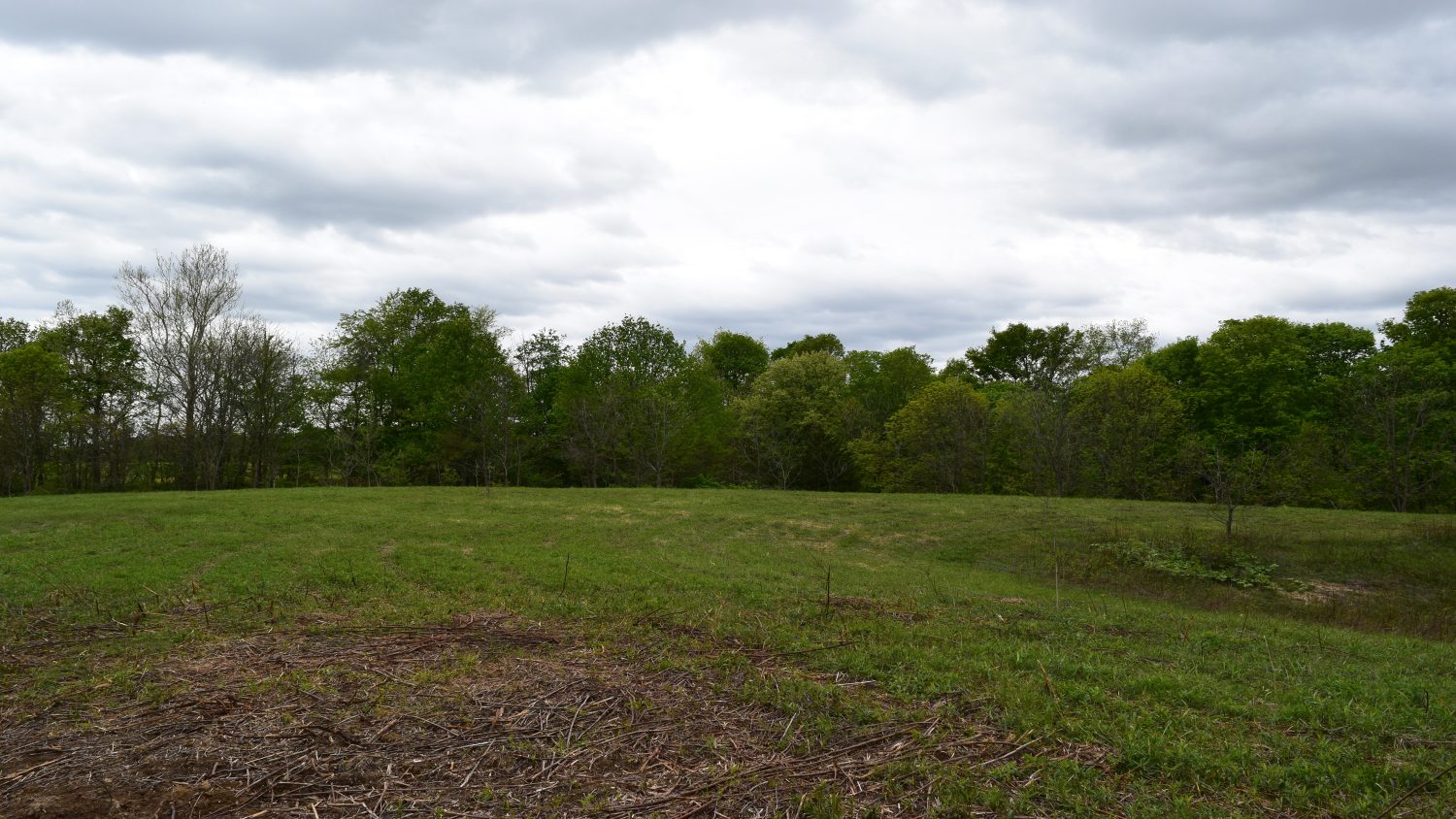 84 +/ Acres Norman, Indiana Diverse Buildable Tract in Jackson County