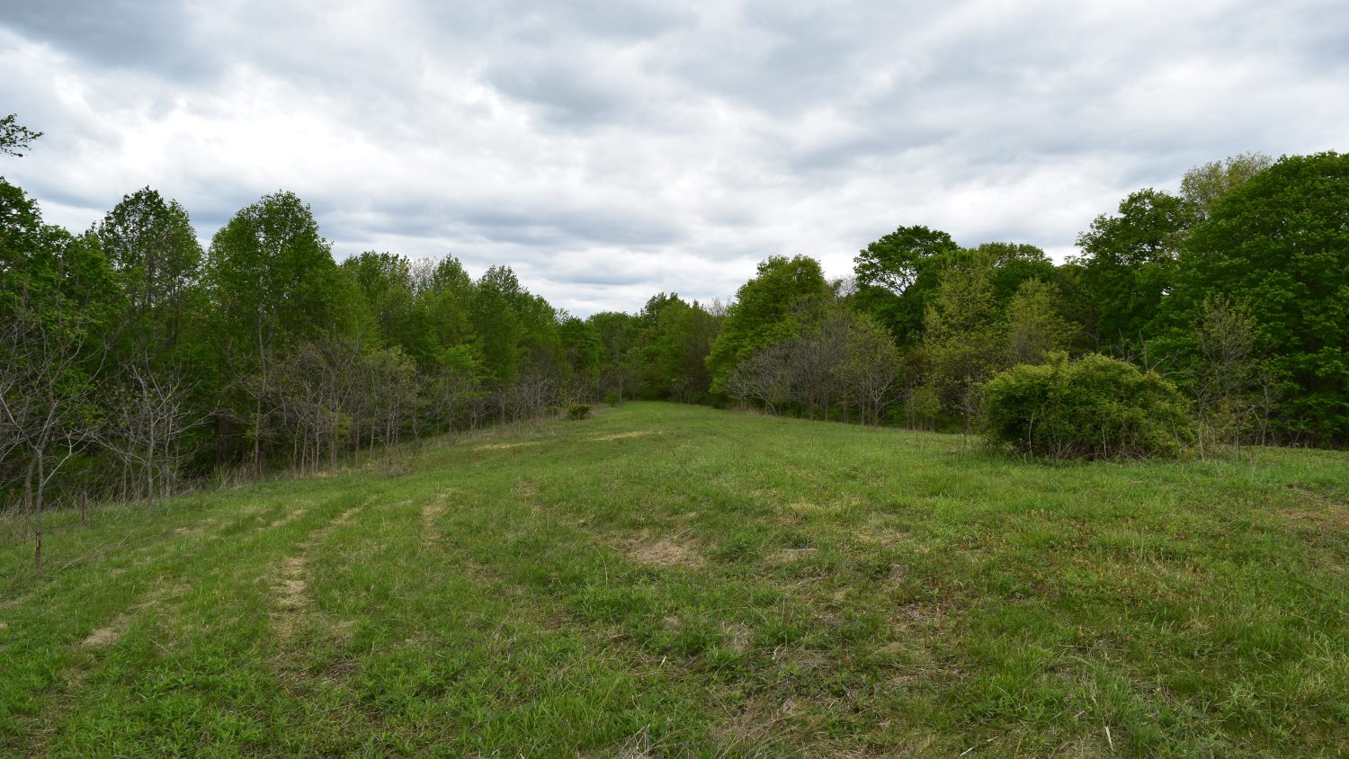 84 +/ Acres Norman, Indiana Diverse Buildable Tract in Jackson County