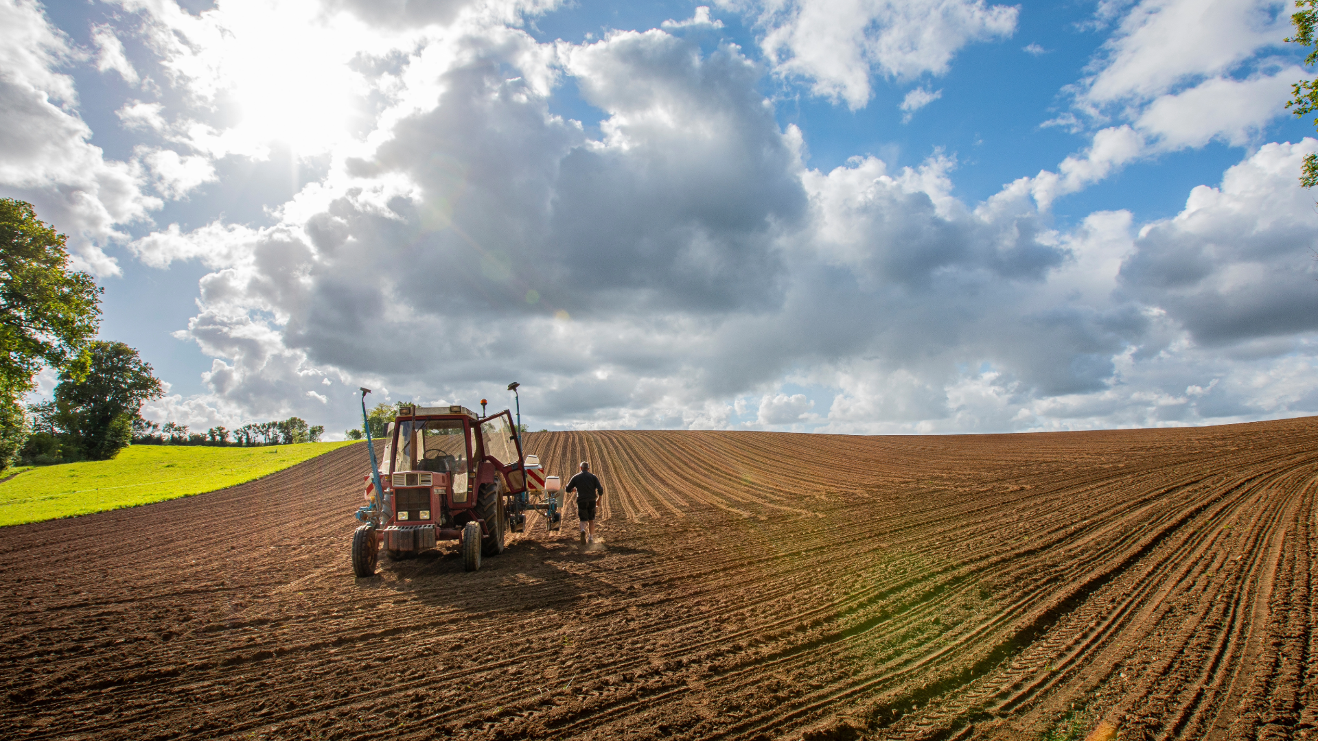 Chapter 12 Bankruptcy and Farmland Assets (4)