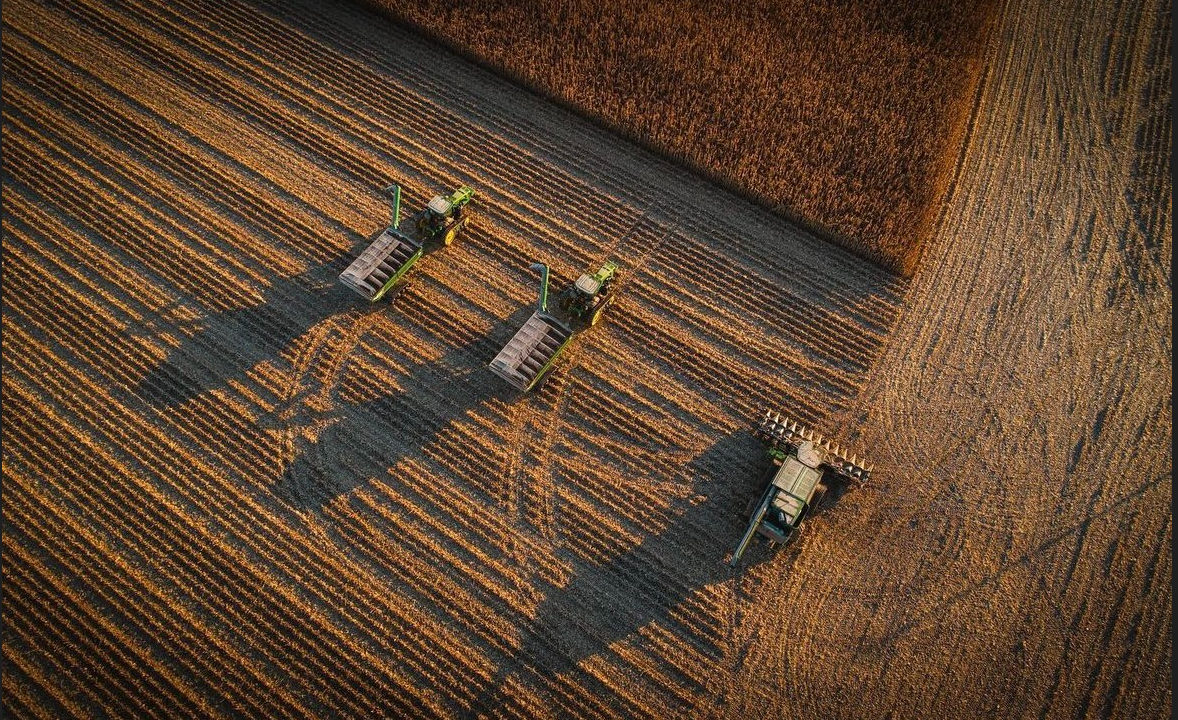 Image by Noah Poynter Media