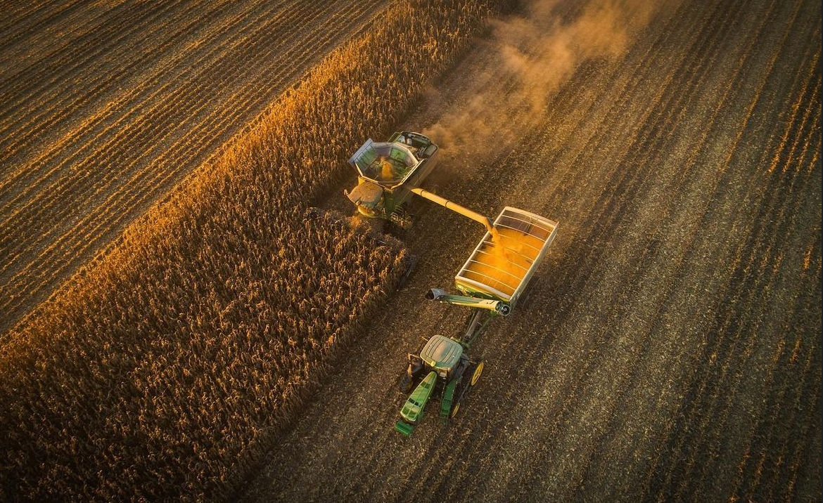 Image by Noah Poynter Media