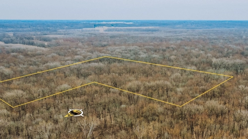 740 +/- Acres Vigo County: Wabash River Bend Reserve
